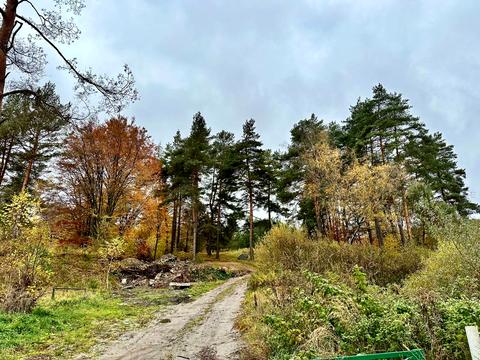 ділянка за адресою 