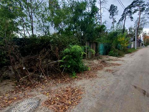 ділянка за адресою Академіка Ромоданова вул. (Льва Толстого)