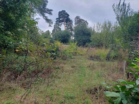 участок по адресу Академіка Ромоданова ул. (Льва Толстого)