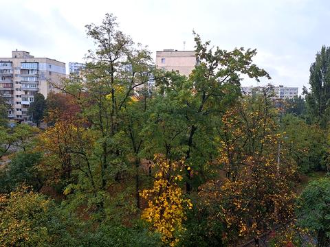 квартира за адресою Анатолія Солов'яненка вул. (Олександра Бойченка), 8