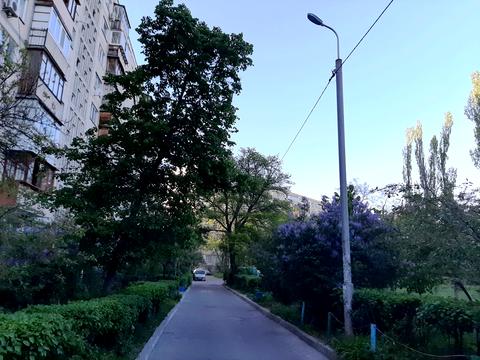 квартира за адресою Анатолія Солов'яненка вул. (Олександра Бойченка), 8