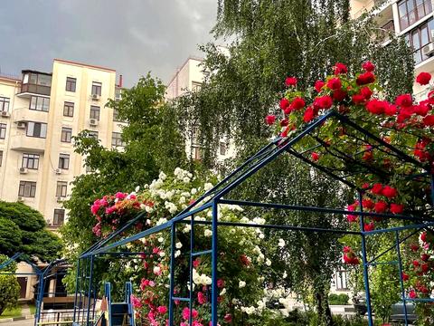 квартира по адресу Щекавицкая ул., 30/39