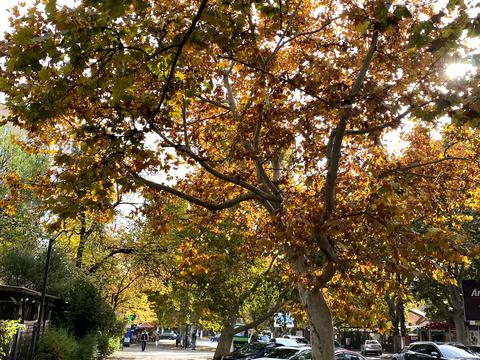 квартира по адресу Краснова ул., 14