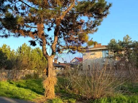 участок по адресу Ореховая ул., 23