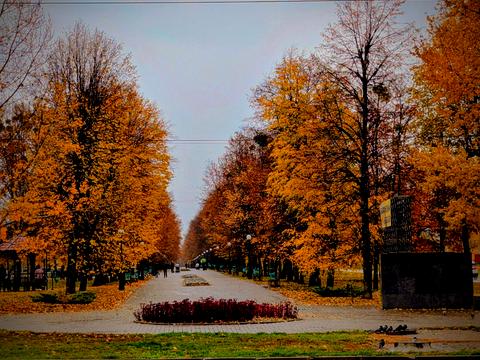 квартира за адресою Харків, Петра Григоренка просп. (Маршала Жукова), 12