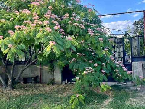 дом по адресу Радісна