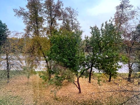 квартира по адресу Академика Заболотного ул., 156 к1