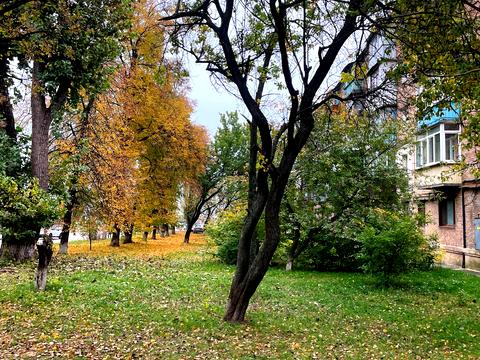 квартира по адресу Академика Заболотного ул., 156 к1