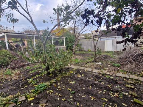 будинок за адресою Анатолія Бачинського вул.