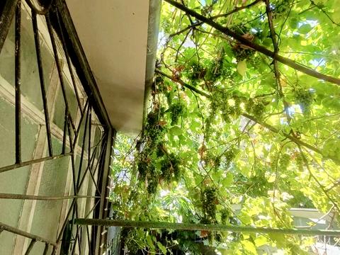 квартира за адресою Валерія Лобановського пров. (Олександра Матросова), 4