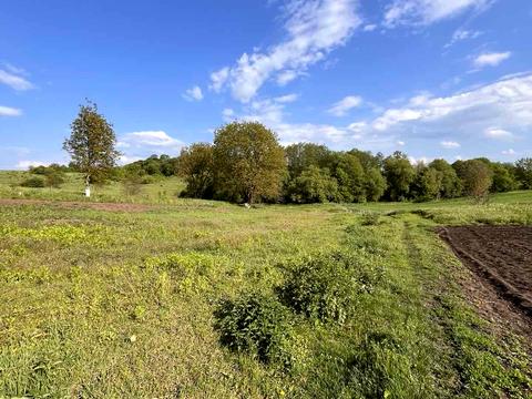 ділянка за адресою 