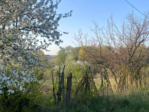 ділянка за адресою 