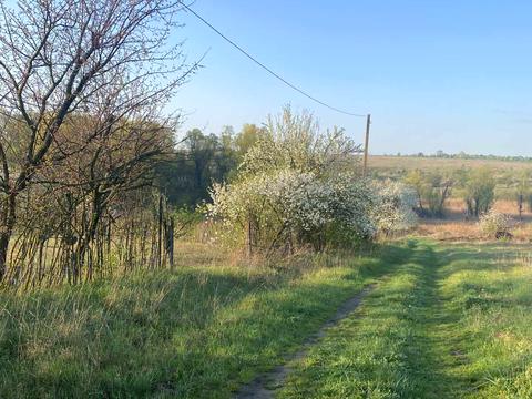 ділянка за адресою 