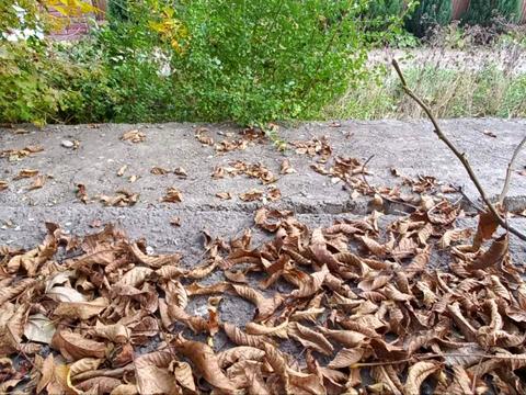 ділянка за адресою Дунаївці, 