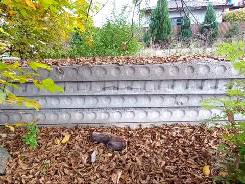 ділянка за адресою Дунаївці, 