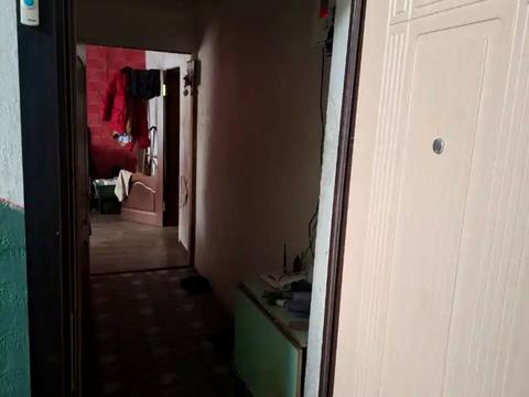 квартира по адресу Янтарная ул., 81