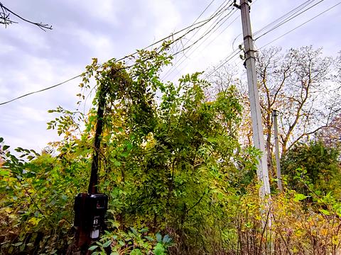 будинок за адресою с. Родниківка, Садова