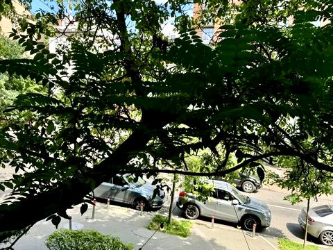 квартира за адресою Володимирська вул., 76