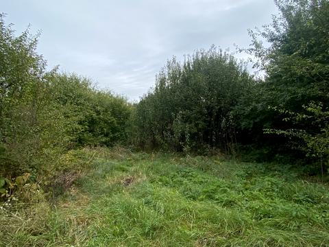 участок по адресу Льва Симиренко ул.