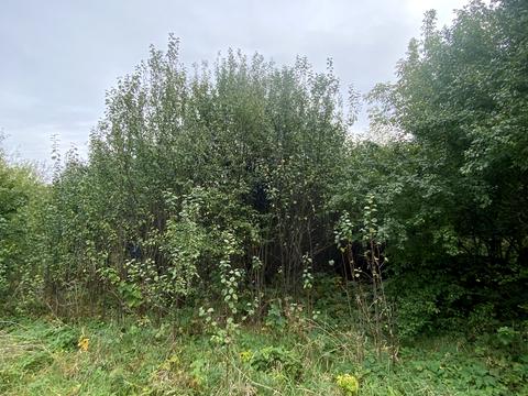 ділянка за адресою Левка Симиренка вул.