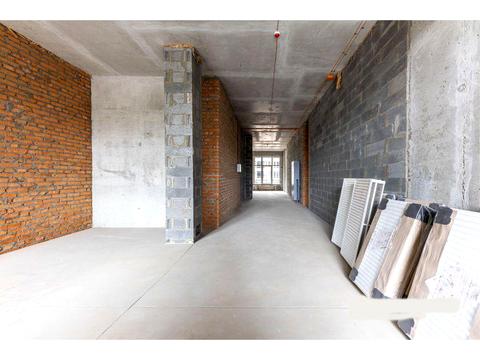 комерційна за адресою Олександра Олеся вул., 17