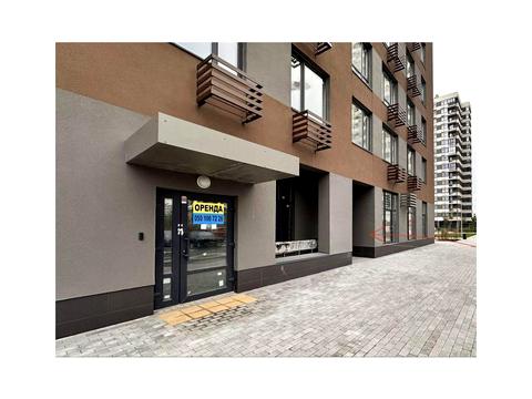 комерційна за адресою Олександра Олеся вул., 17