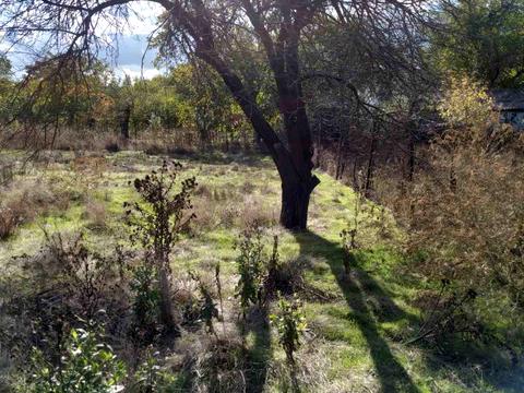 будинок за адресою Незалежности, 25