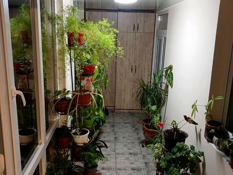 дом по адресу Крайня