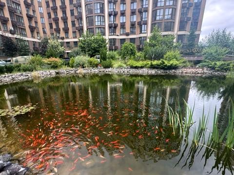 квартира по адресу Сковороди, 12