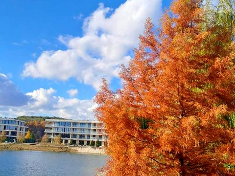 квартира за адресою Паркова вул., 15