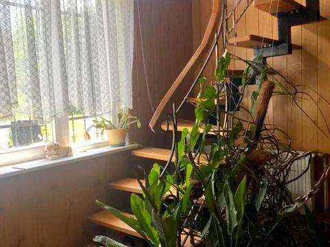 дом по адресу Івана Франка ул.