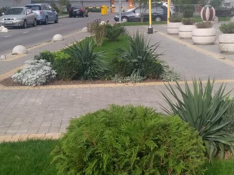 квартира по адресу Люстдорфская дорога ул., 55