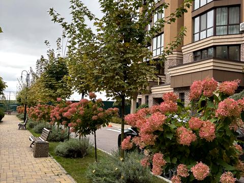 квартира за адресою Приміська вул., 6