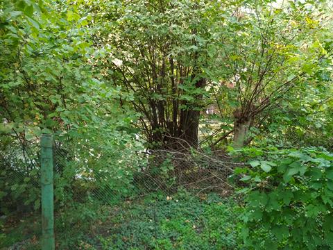 ділянка за адресою Садова 182