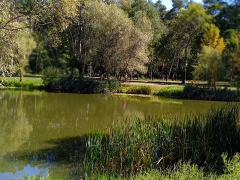 квартира за адресою Воскресенська вул., 2-В