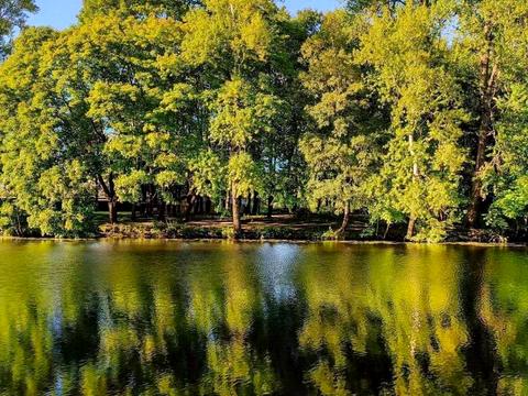 квартира за адресою Воскресенська вул., 2-В