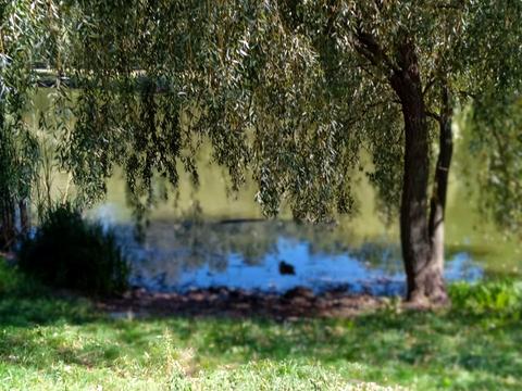 квартира за адресою Воскресенська вул., 2-В