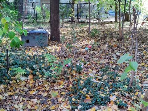 квартира по адресу Степовая ул., 18/20