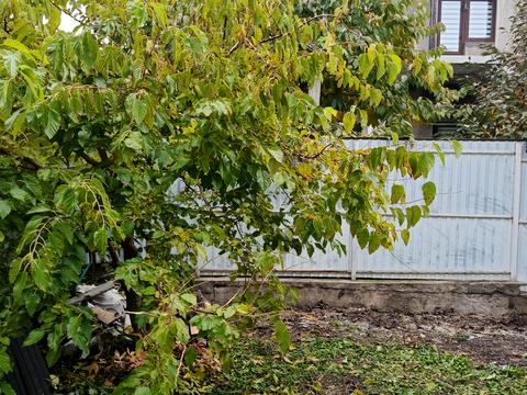 будинок за адресою Зоряний, 8