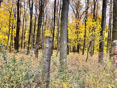 участок по адресу Шевченко ул.