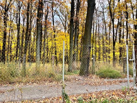 участок по адресу Шевченко ул.