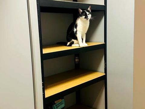 квартира за адресою Зарічна вул., 1-В