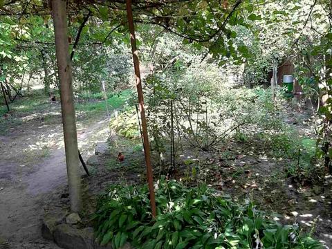 ділянка за адресою Садова 182