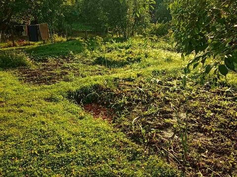 будинок за адресою 1-й Купайла проїзд