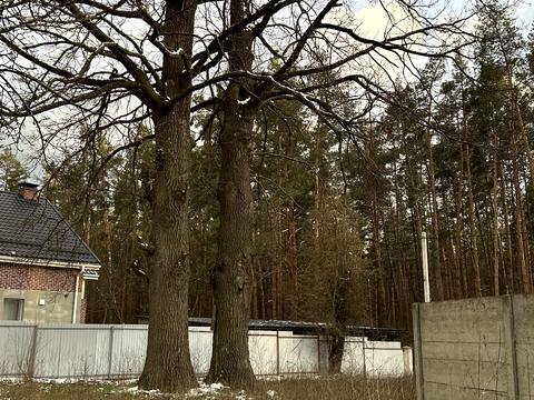 участок по адресу Давидчука ул.