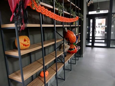 квартира за адресою Олександра Олеся вул., 10