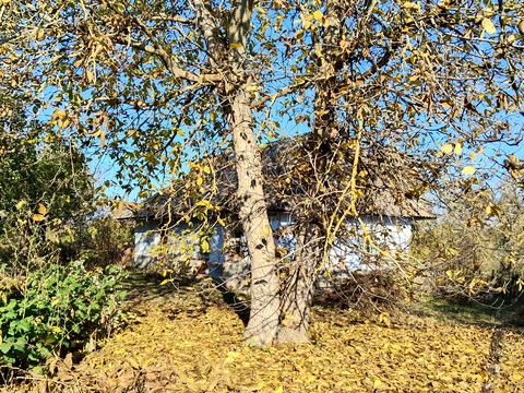 дом по адресу Зарічна, 131