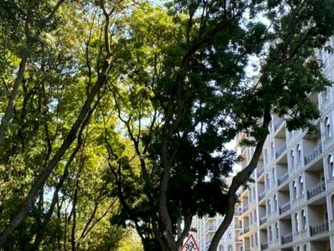 квартира по адресу Дача Ковалевского ул., 91