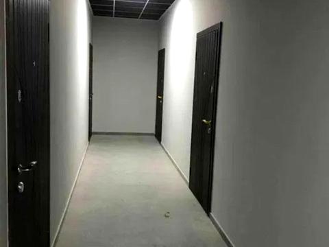 квартира по адресу Дача Ковалевского ул., 91