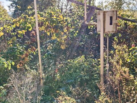 дом по адресу Зарічна, 131